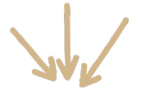 pijltje-lotte-eschbach.nl